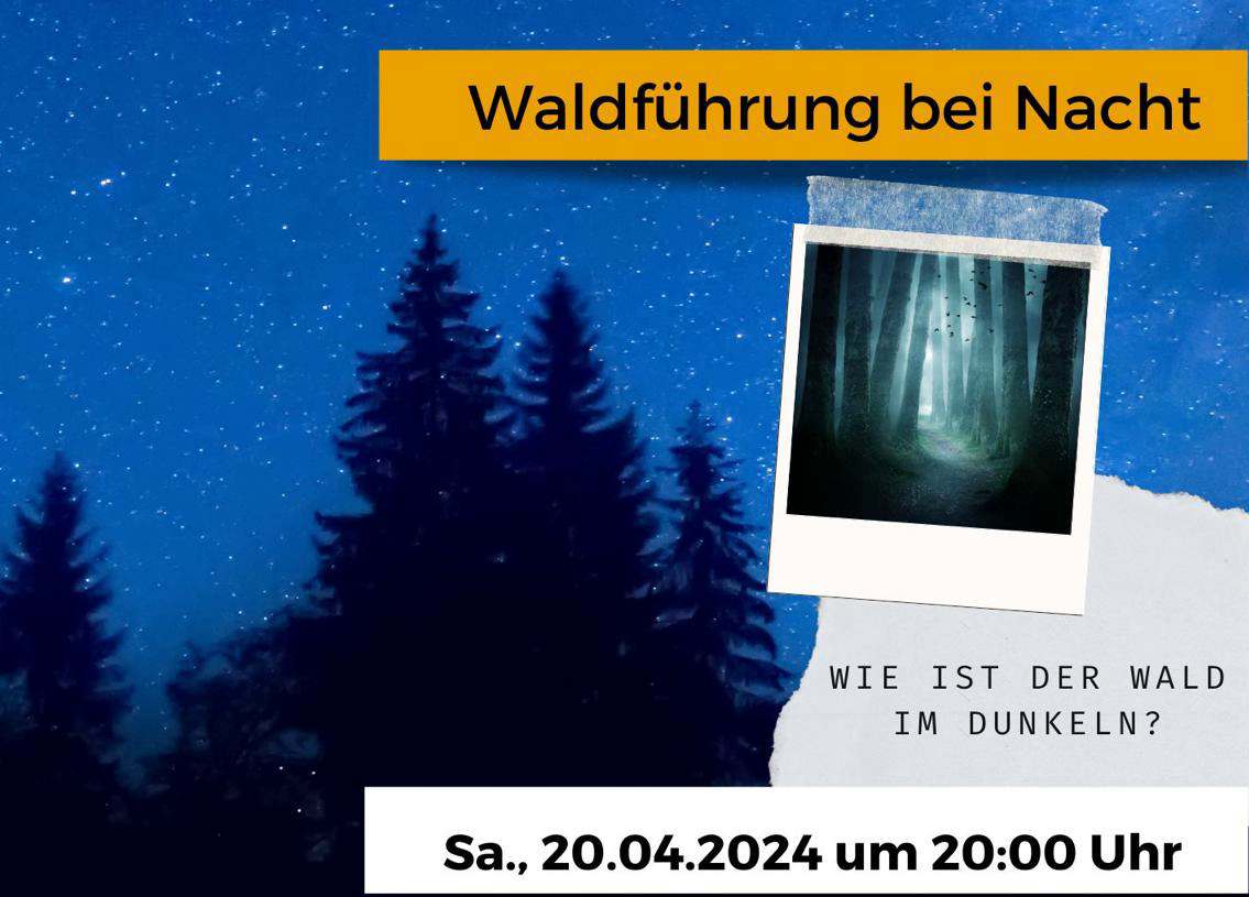 Waldführung bei Nacht, 20.04.24