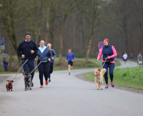 Silvesterlauf Hoyerhagen 2024